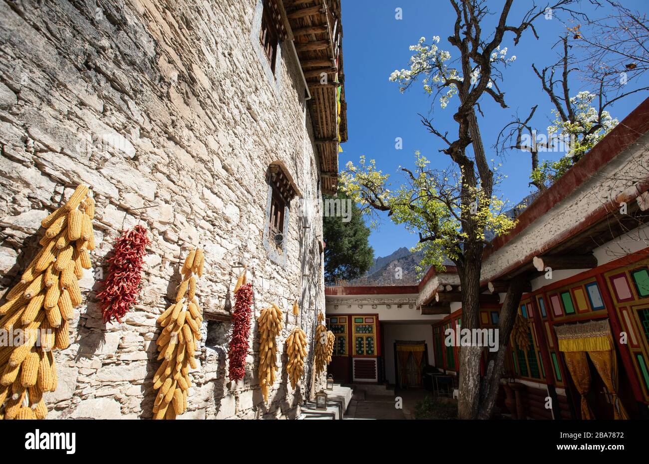 Chengdu. 25 Marzo 2020. La foto scattata il 25 marzo 2020 mostra lo scenario di un villaggio tibetano nella contea di Dalba, nella provincia del Sichuan della Cina sudoccidentale. I villaggi tibetani di Dalba sono famosi per le loro meravigliose torri di guardia e le tradizionali case simili a fortezza tibetana, che costituiscono un paesaggio notevole con l'ambiente naturale circostante. Credit: Jiang Hongjing/Xinhua/Alamy Live News Foto Stock