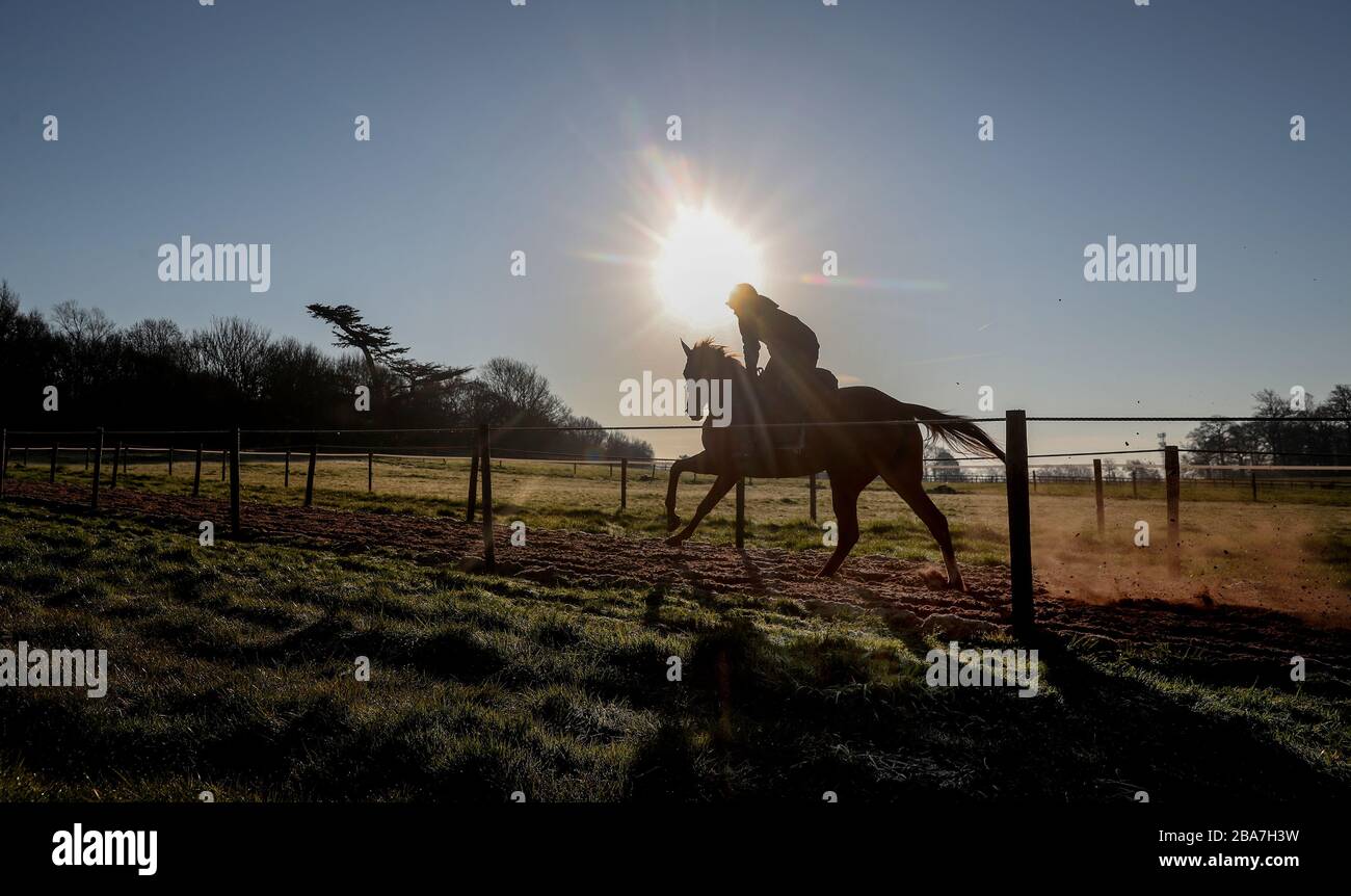 Un Cavallo sul galoppo durante la visita alle stalle di Sam Drinkwater a Strensham. I formatori sono invitati a continuare l'esercizio delle galoppe e a rispettare rigorosamente i requisiti di distanza sociale, in seguito all'annuncio da parte del primo ministro Boris Johnson di nuove misure per combattere la diffusione del coronavirus. Foto Stock