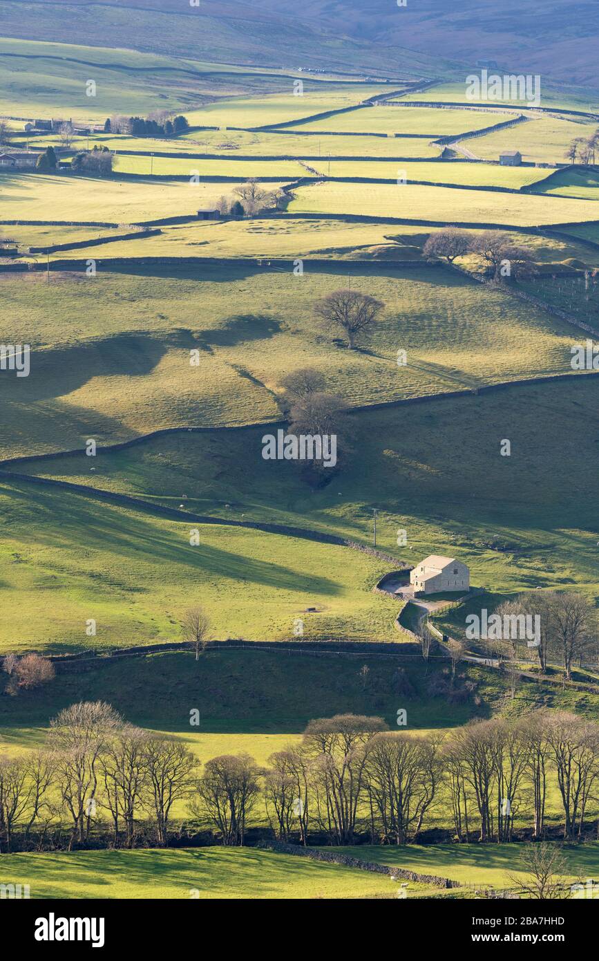 Campi verdi illuminati dal sole e case remote vicino alla città Pennine di Pateley Bridge nello Yorkshire Dales, Regno Unito. Foto Stock