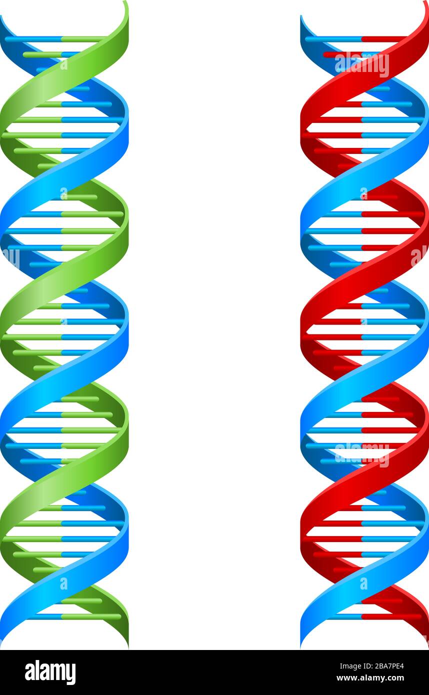 Illustrazione della molecola a doppia elica di DNA Illustrazione Vettoriale