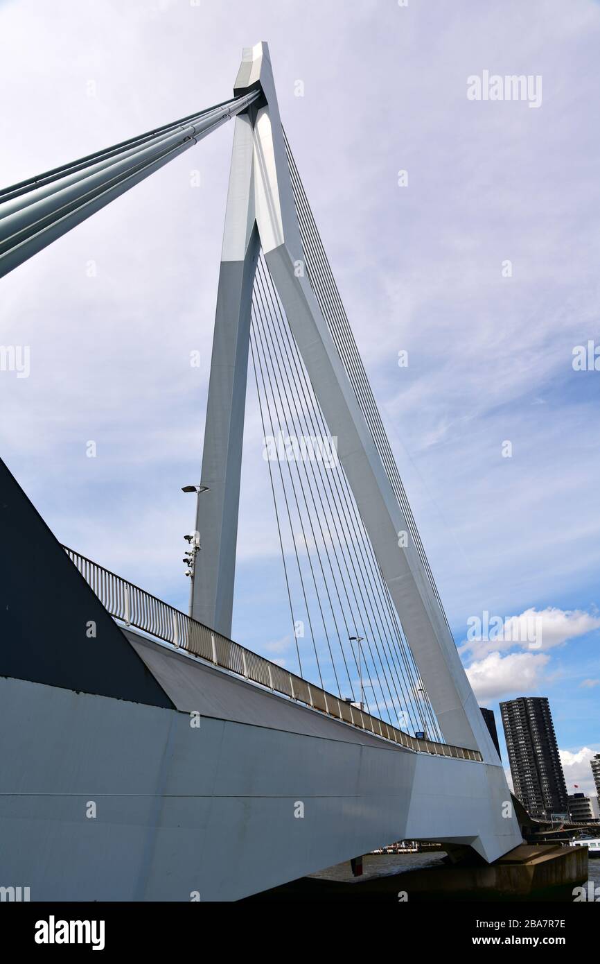 Rotterdam, Paesi Bassi - Giugno 2019; veduta ad angolo basso dell'iconico scudetto Erasmusbrug a Rotterdam con una vista spettacolare sul pilone e sui cavi ris Foto Stock