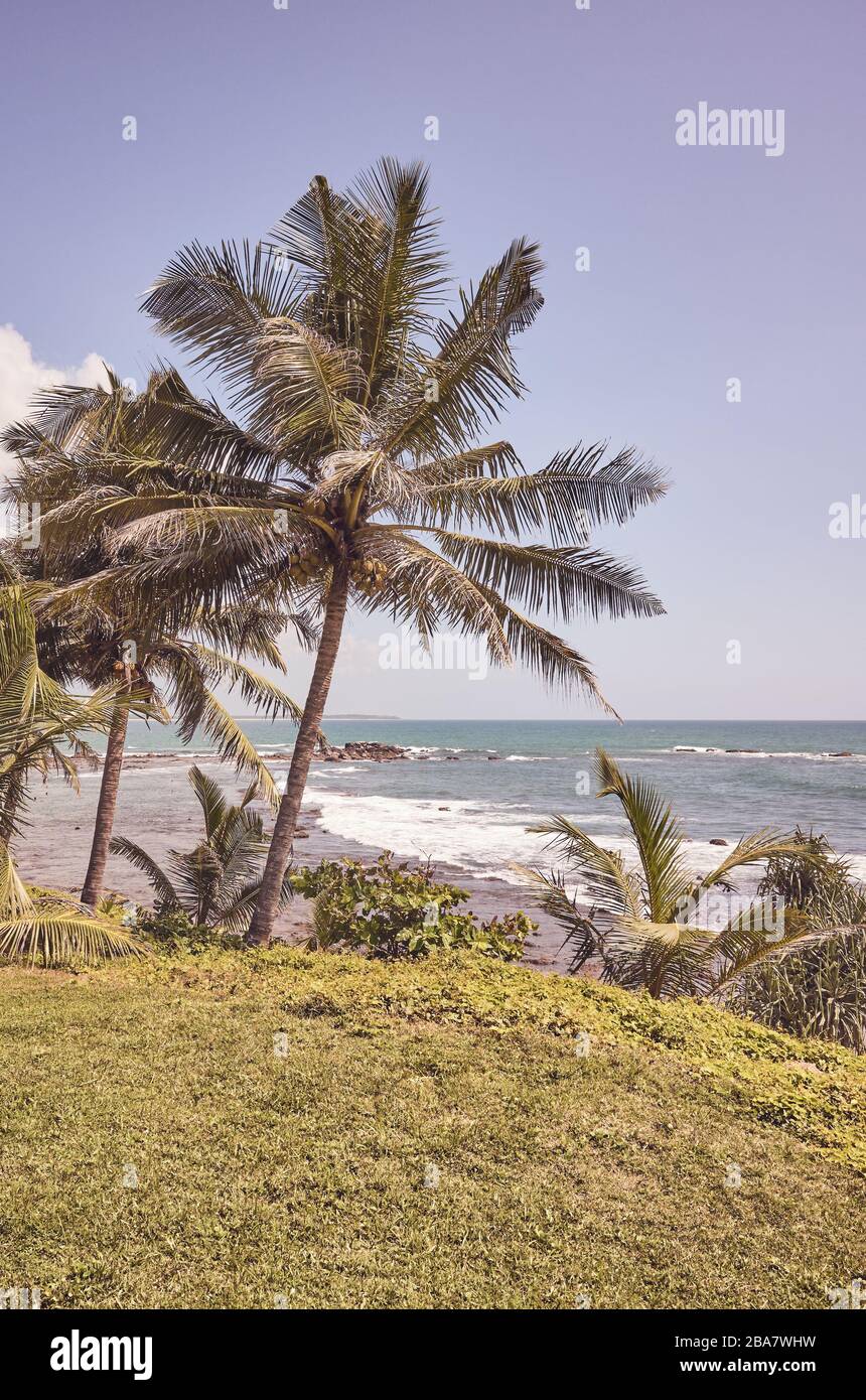 Paesaggio tropicale con palme e mare, colore applicato. Foto Stock