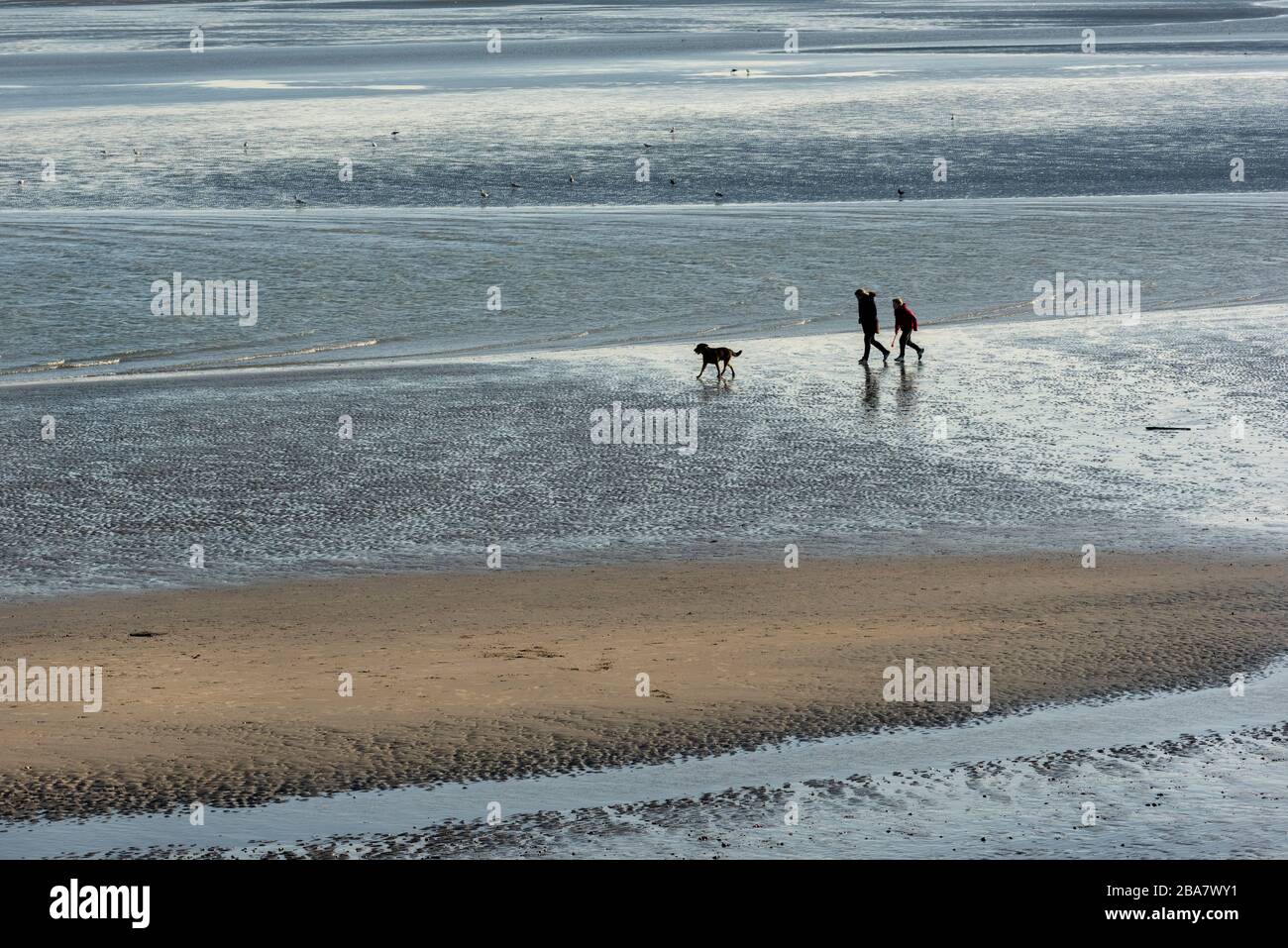 Hayling Island il giorno prima che il Regno Unito entrò nel blocco dei coronavirus Foto Stock