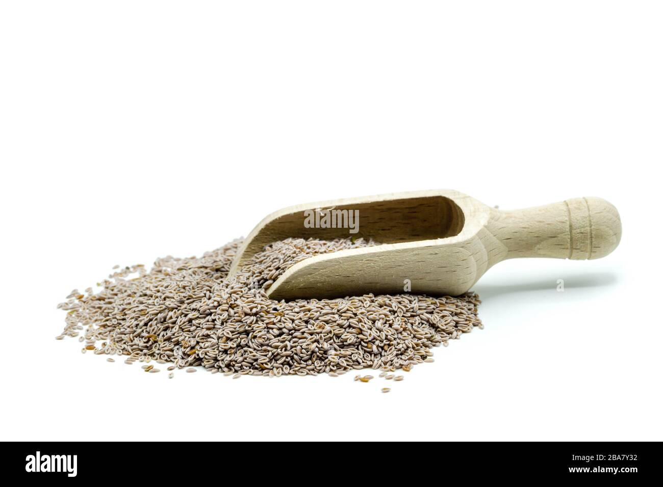 Semi di Psillio isolati su sfondo bianco Foto Stock