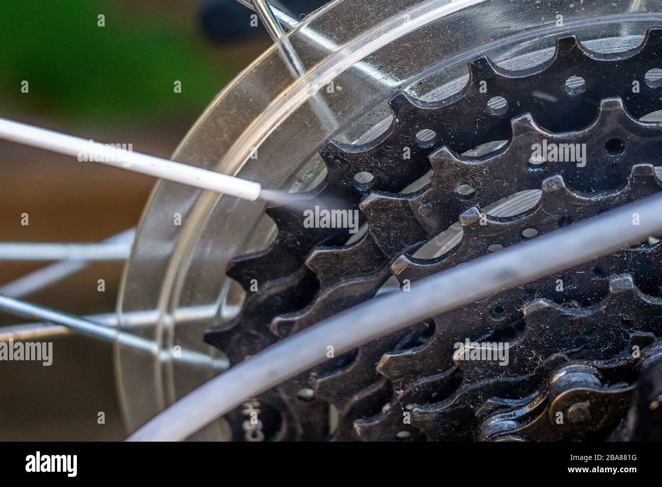 Pulizia catena motociclistica immagini e fotografie stock ad alta  risoluzione - Alamy