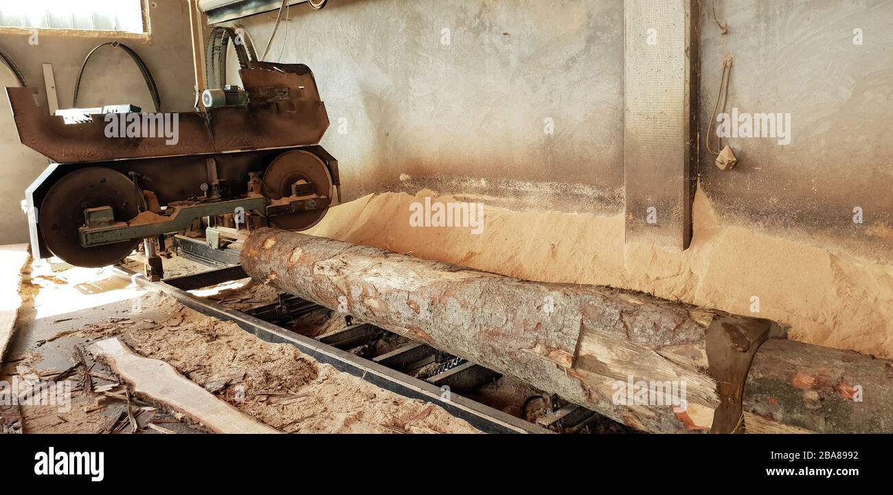 Segare legname di lavorazione tronchi in segheria Foto Stock