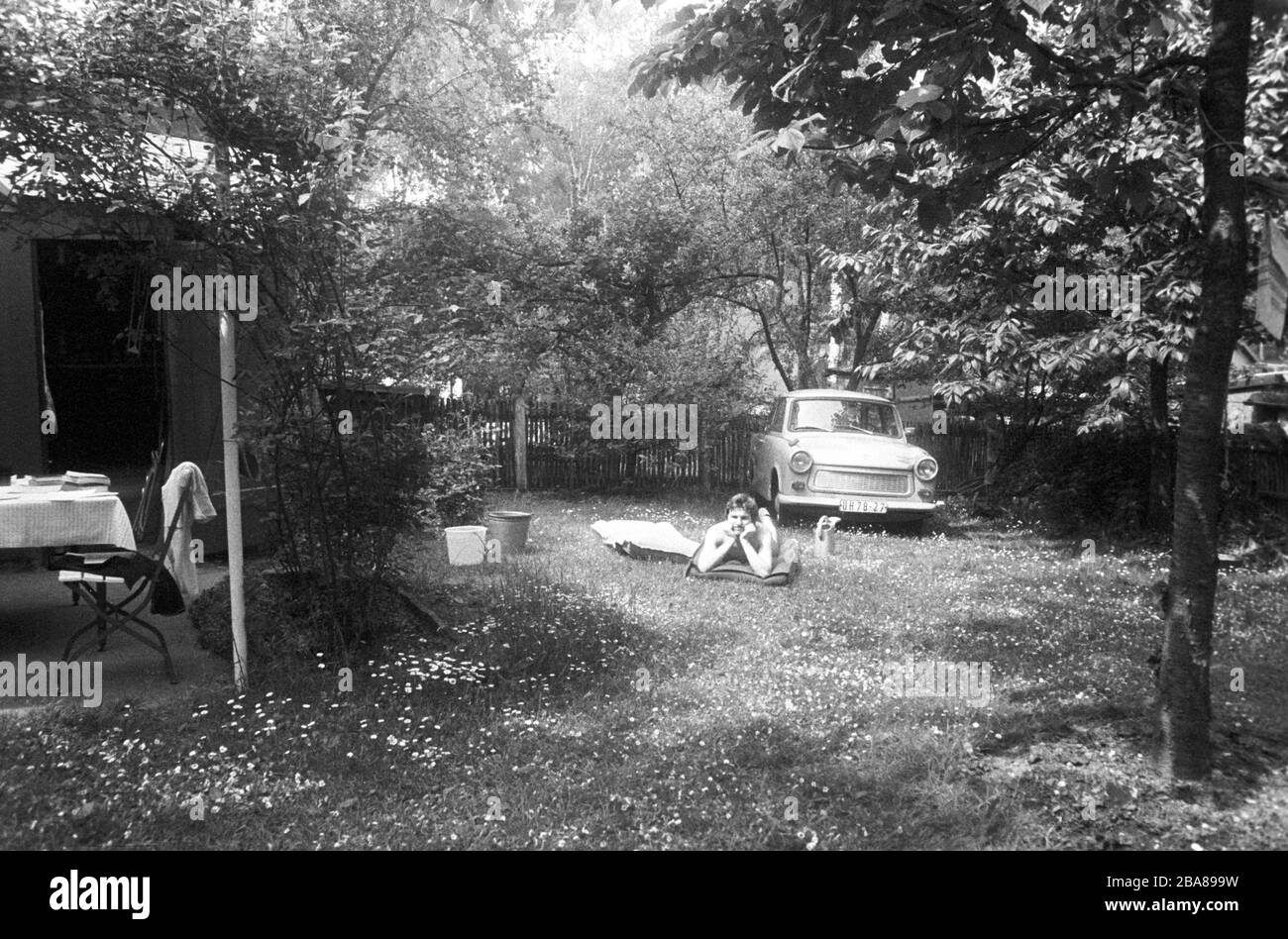 30 novembre 1978, Sassonia, Lipsia: Un giovane Masnn si trova in un prato nel suo giardino di fronte al suo Trabant, alla fine degli anni '70. Data esatta di registrazione non nota. Foto: Volkmar Heinz/dpa-Zentralbild/ZB Foto Stock