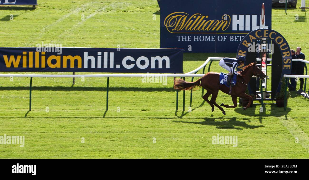 Hay Dude indovinato da Michael Metcalfe torna a casa per vincere la City Refrigeration Holdings (UK) Limited/E.B.F. quote da nubile Foto Stock