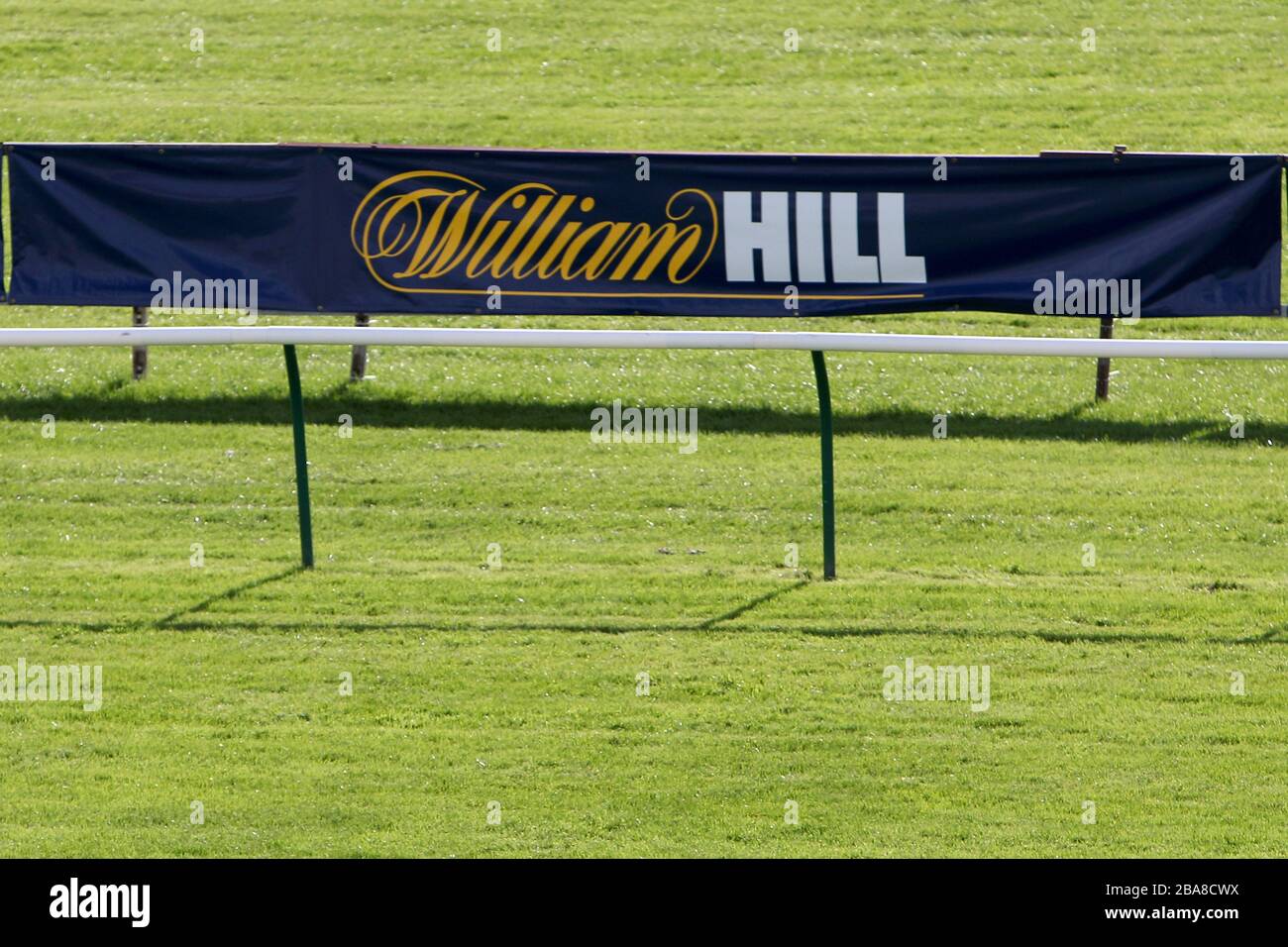 William Hill marcare a caldo a Ayr Racecourse Foto Stock