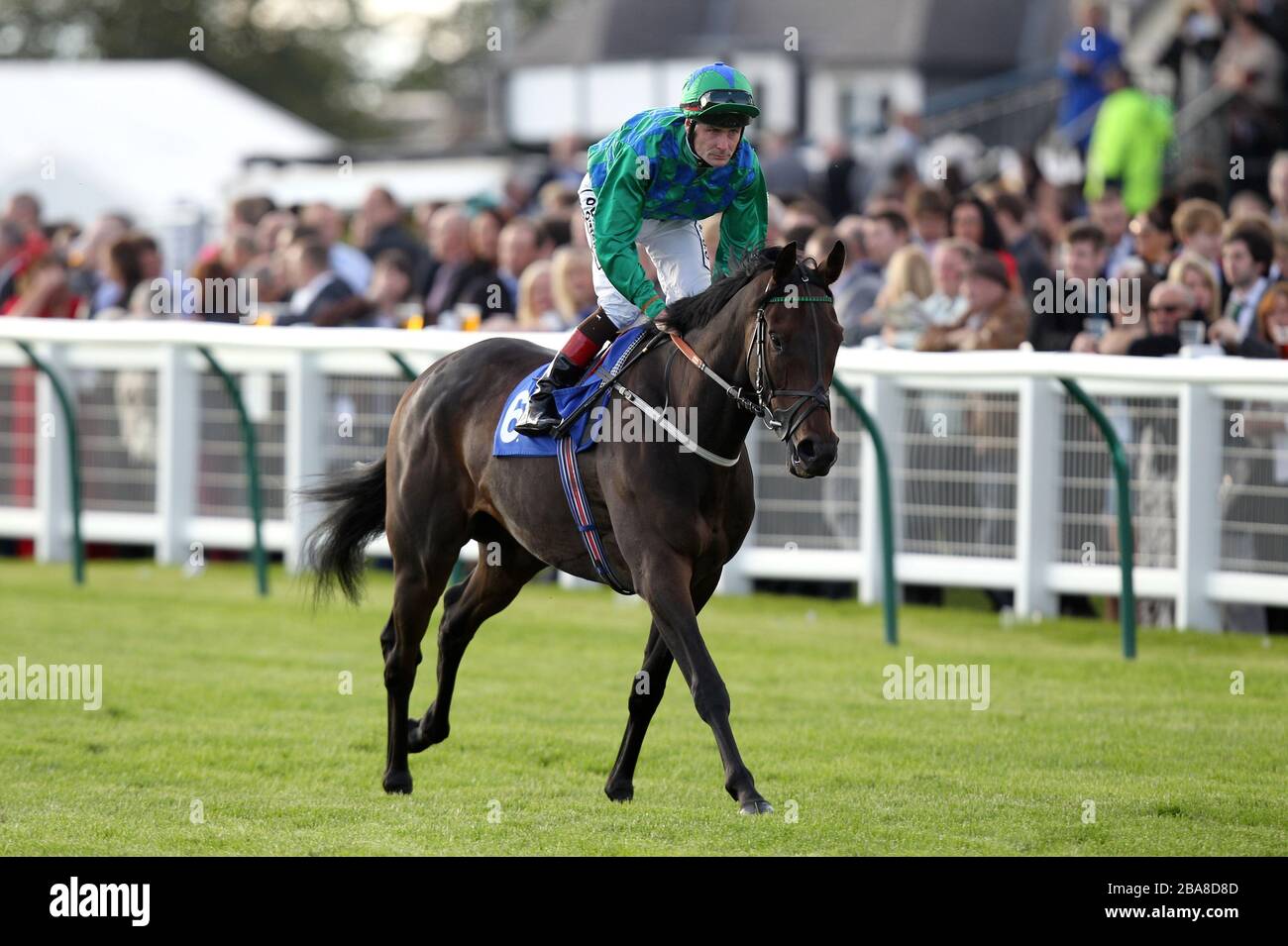 Fiera di Stock Hill guidata da Jockey Pat Smullen che va a posta prima dell'isola di Skye handicap Foto Stock