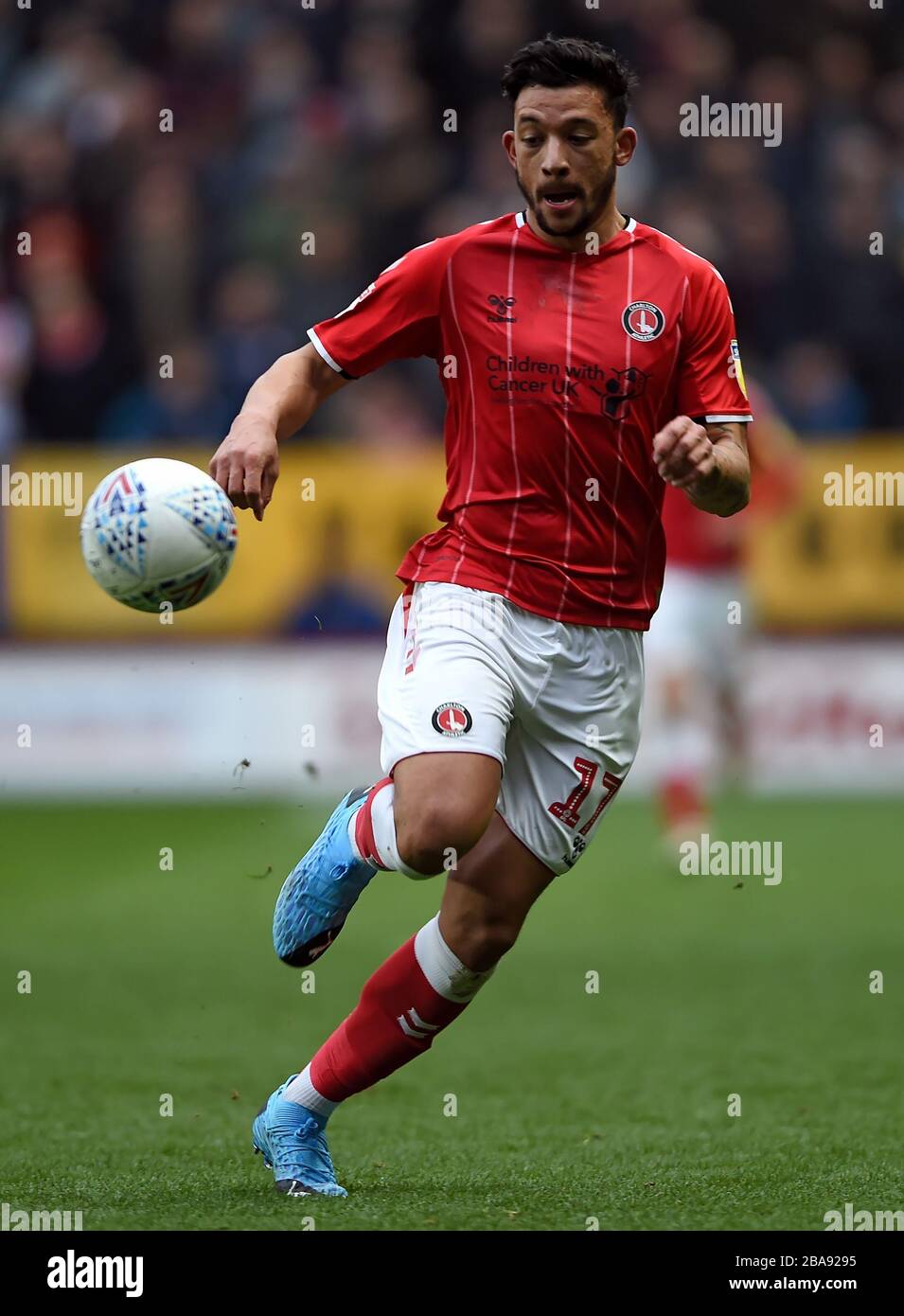 Charlton Athletic's Macauley Bonne Foto Stock