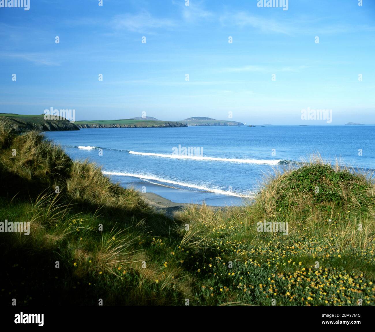 Whitesands Bay, St Davids, Pembrokeshire, Galles occidentale. Foto Stock