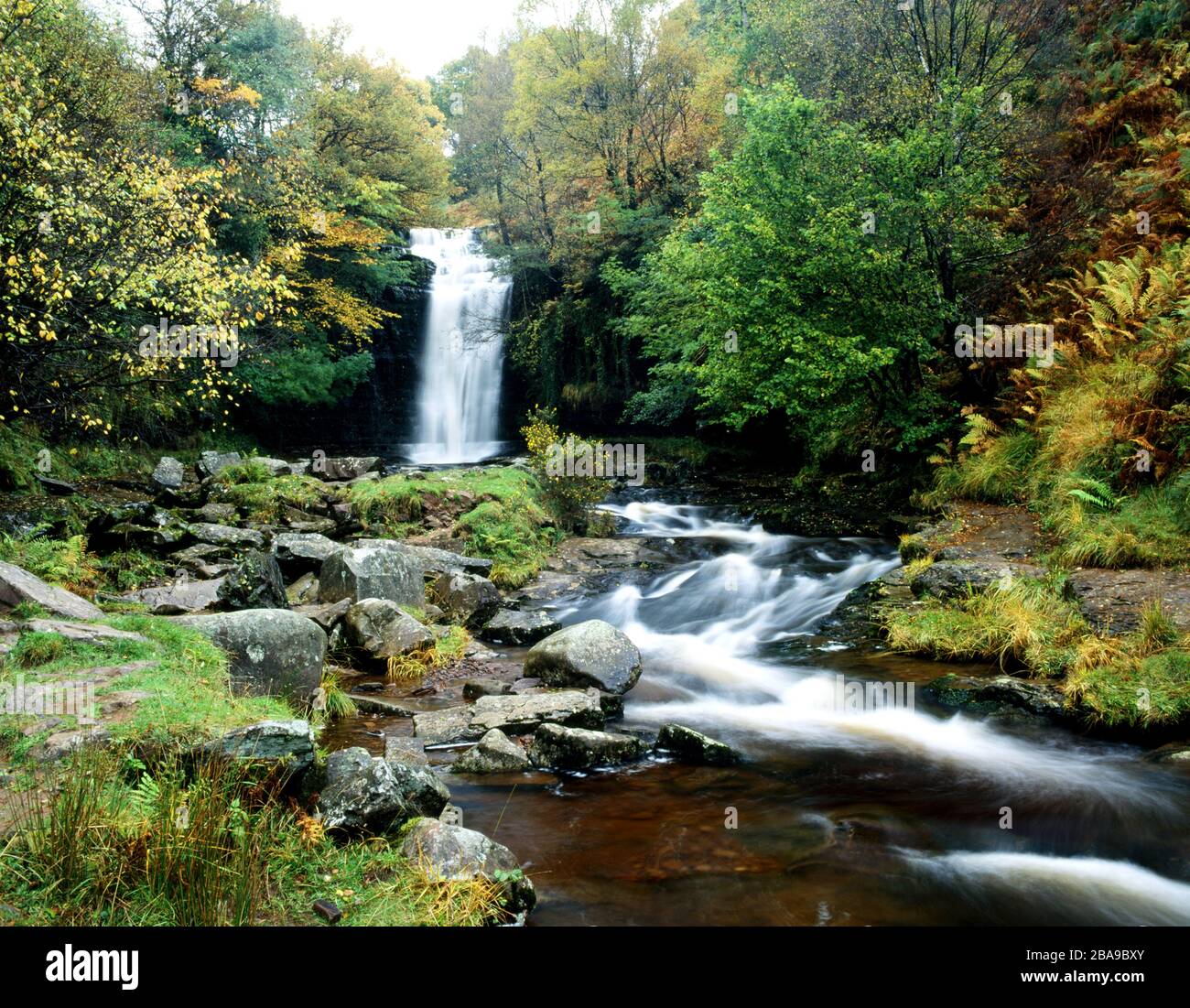 Cascata Sul Fiume Caerfanell, Blaen Y Glyn, Brecon Beacons National Park, Powys, Galles. Foto Stock