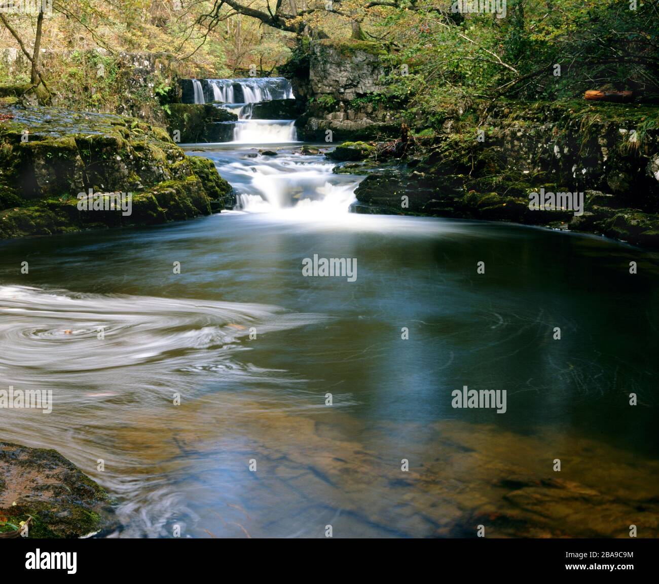 Cascata, fiume Nedd, Upper Neath Valley vicino Ystradfellte, Brecon Beacons National Park, Powys, Galles. Foto Stock
