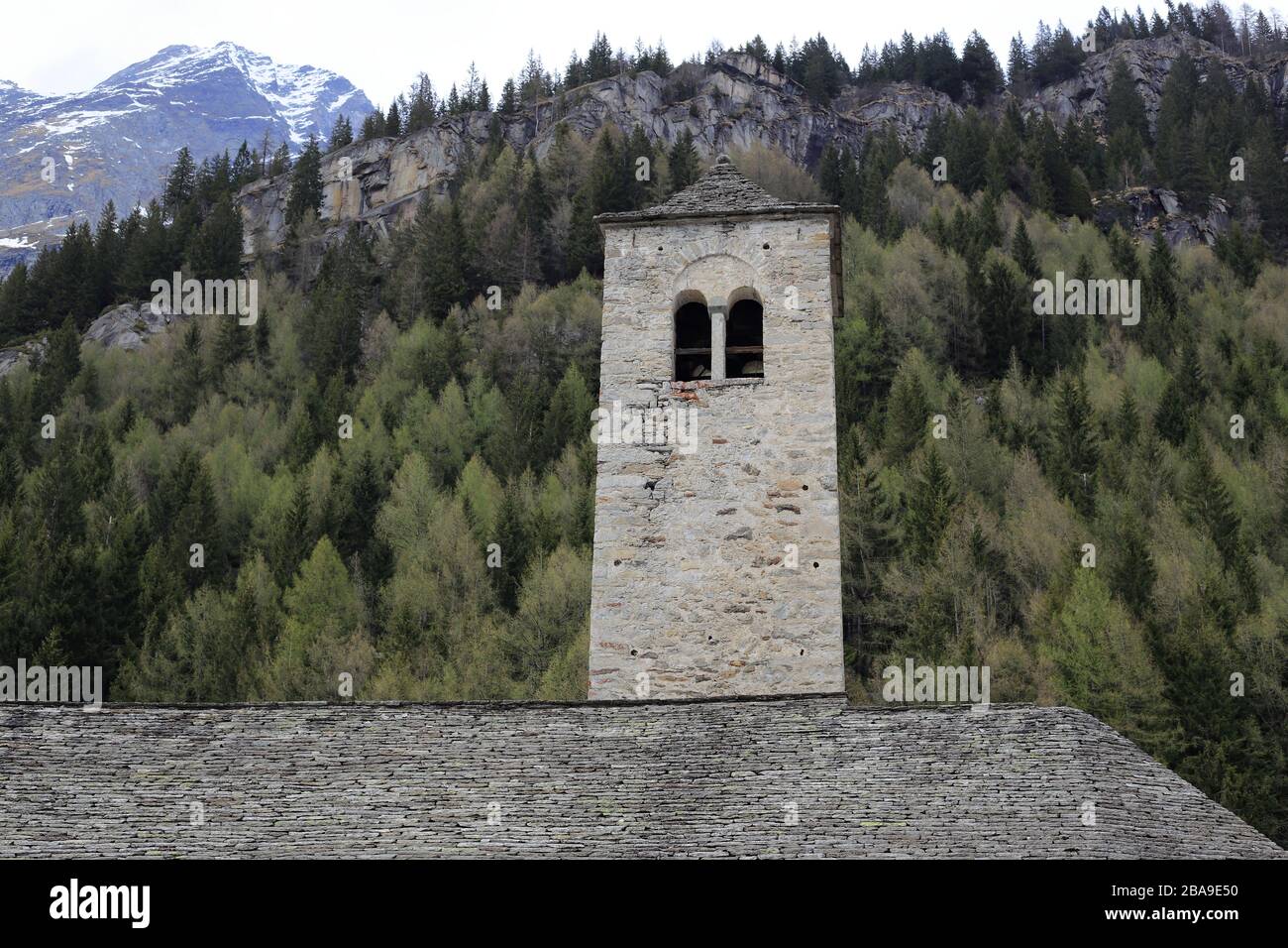 Campanile vecchia chiesa di Macugnaga, Italia, con sfondo pineta Foto Stock