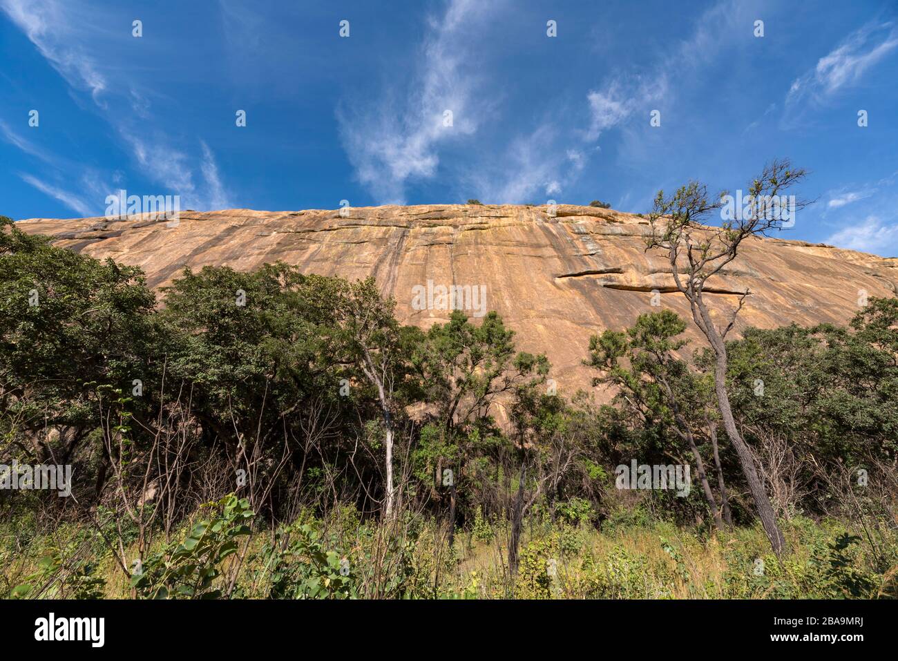 Paesaggi unici nel Parco Nazionale Matobo dello Zimbabwe. Foto Stock