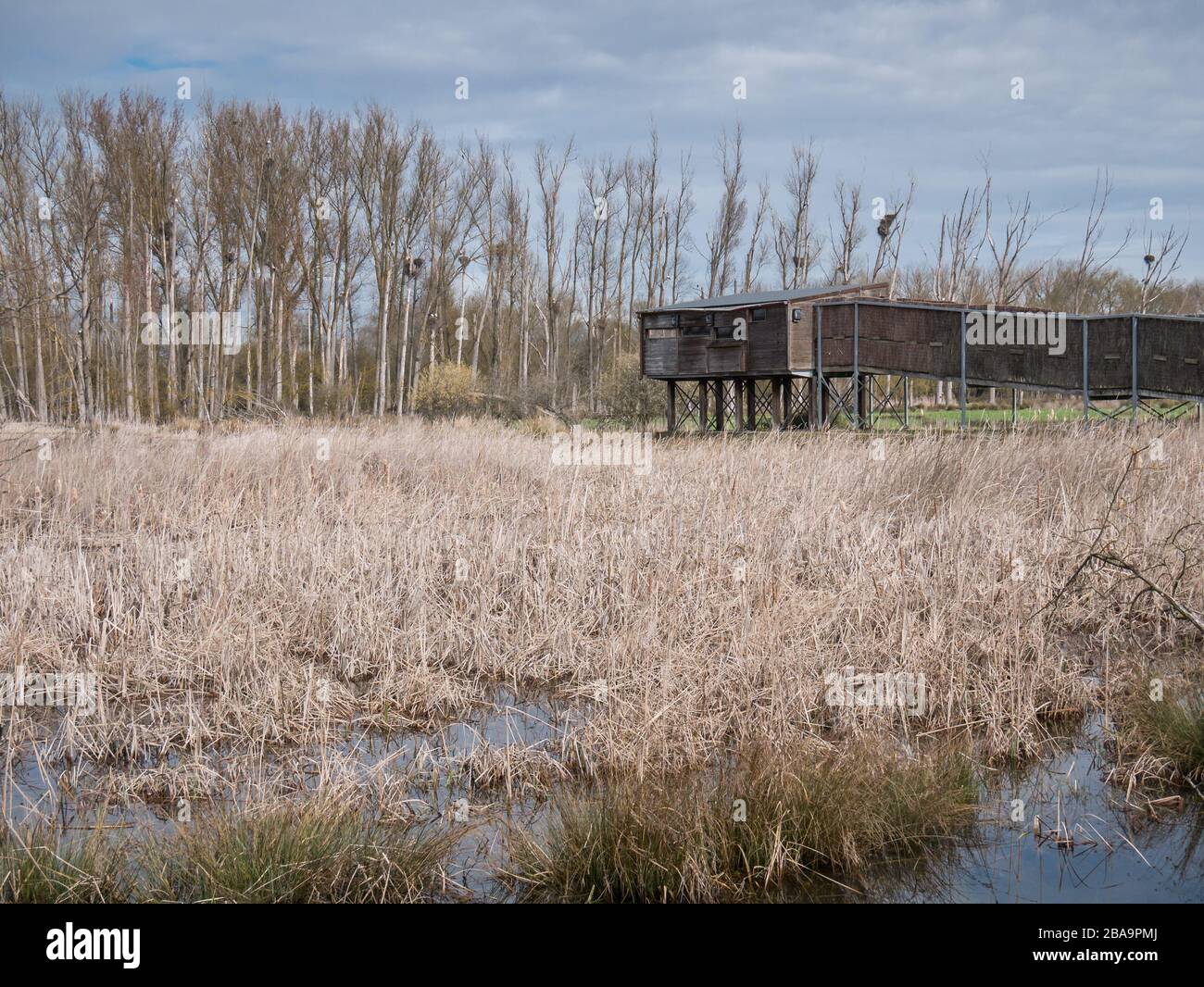 Punto di osservazione per il birdwatching e l'osservazione della natura nelle zone umide di Salburua in inverno. Vitoria-Gasteiz, Paesi Baschi, Spagna Foto Stock