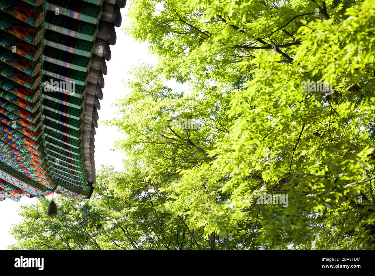 eaves nel tempio buddista corea del sud Foto Stock