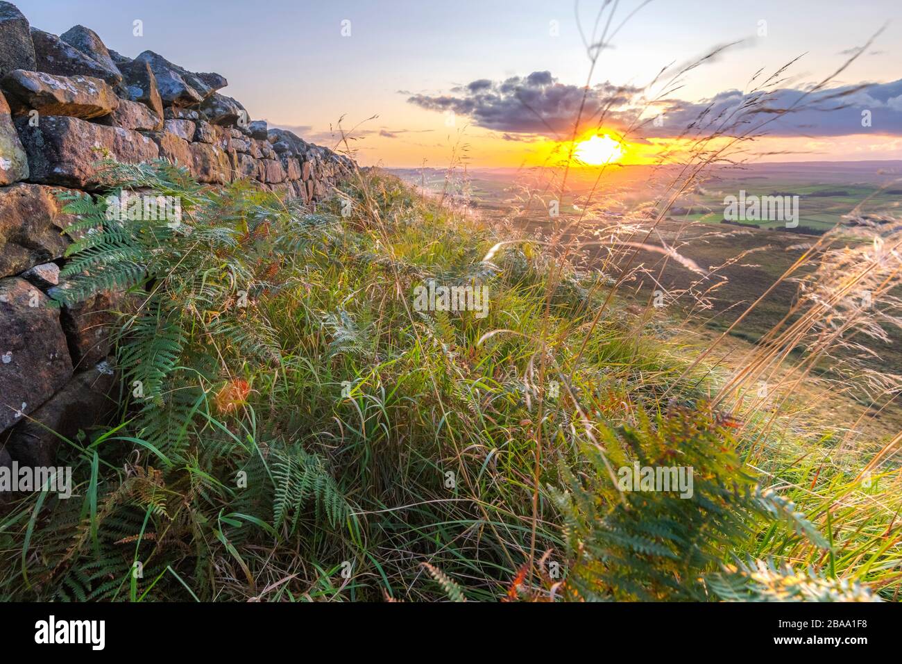 Regno Unito, Inghilterra, Northumberland, Haltwhistle, Melkridge, Winshield Crags, Adrian's Wall Foto Stock