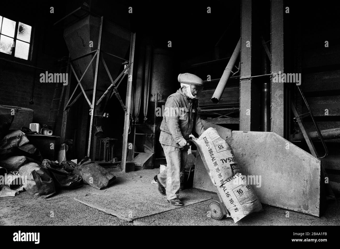 Ordine dei cistercensi della stretta osservanza immagini e fotografie
