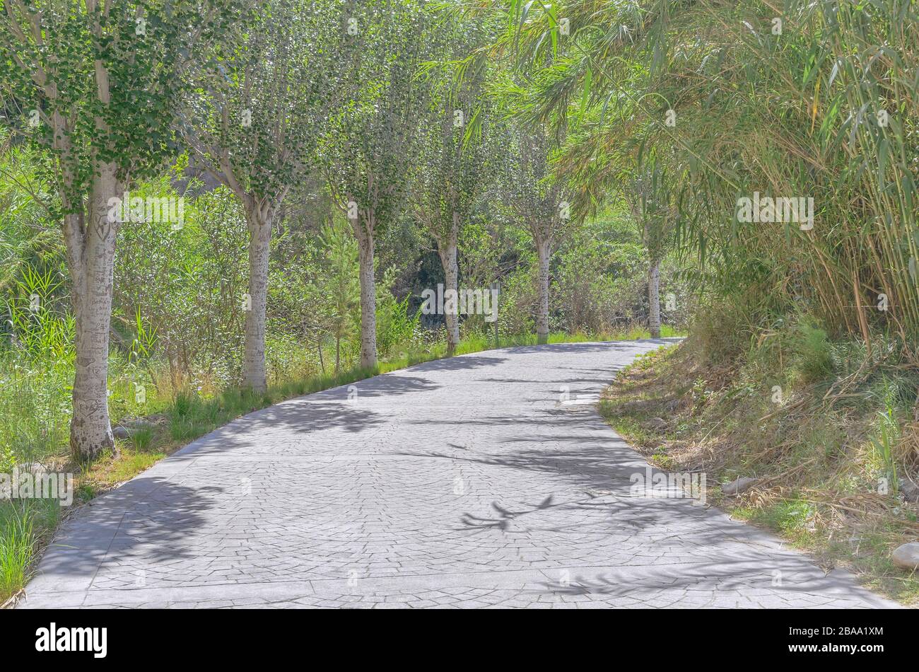 Percorso alle sorgenti termali del villaggio termale di Montanejos, nella regione di Castellon (Valencia - Spagna). Bellissimo ambiente di montagna. Estate Foto Stock