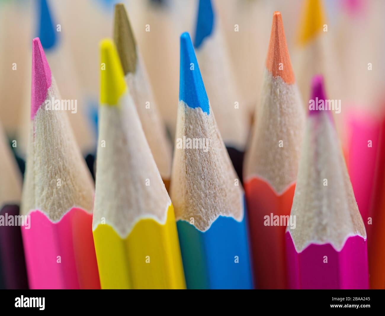 Molte matite colorate in un primo piano Foto Stock