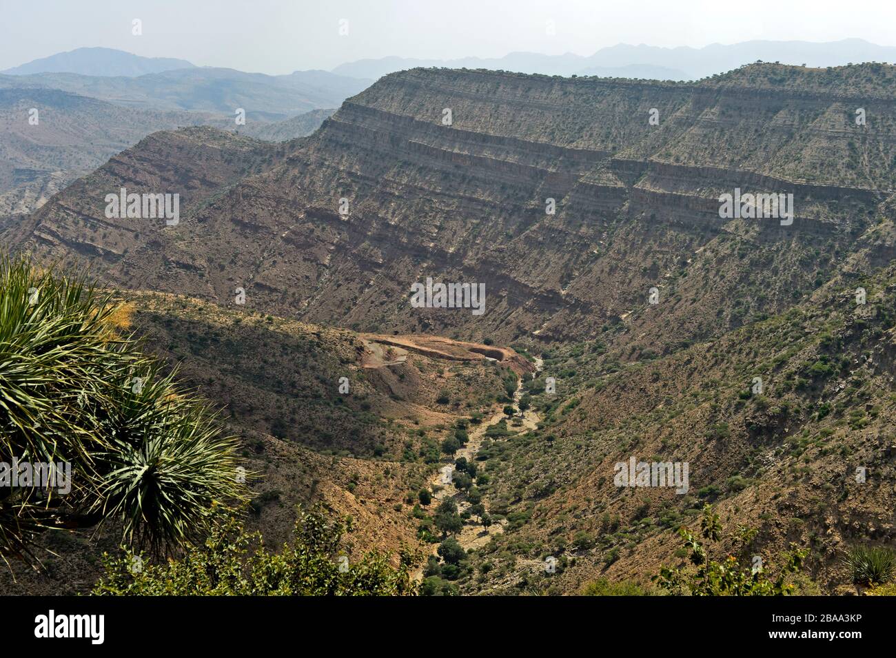 Valle secca nelle Highlands etiopi, Tigray, Etiopia Foto Stock