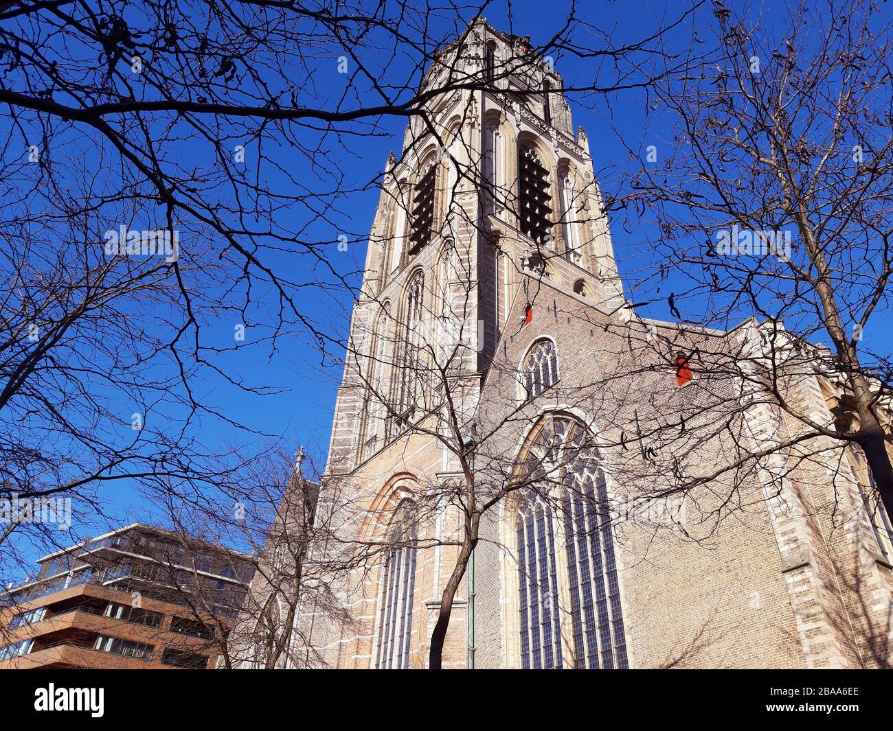 antica e famosa chiesa di rotterdam in olanda Foto Stock