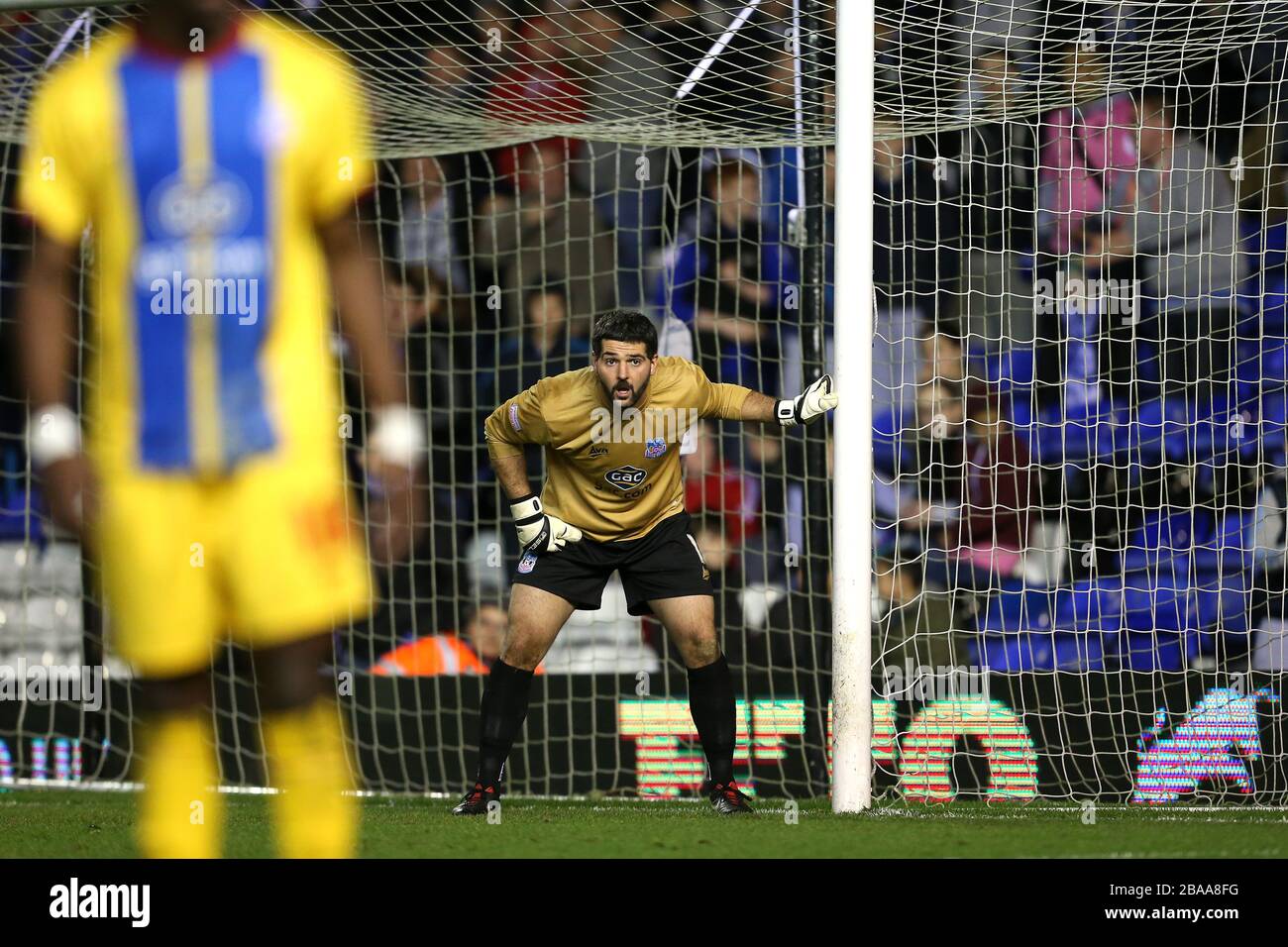 Il portiere del Palazzo di cristallo Julian Speroni allinea il suo muro difensivo Foto Stock