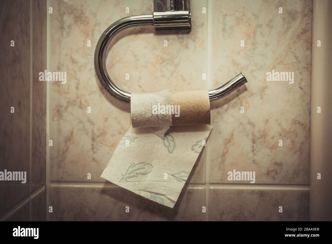 Ruolo carta igienica vuota, Leere Toilettenpapierrolle Foto Stock