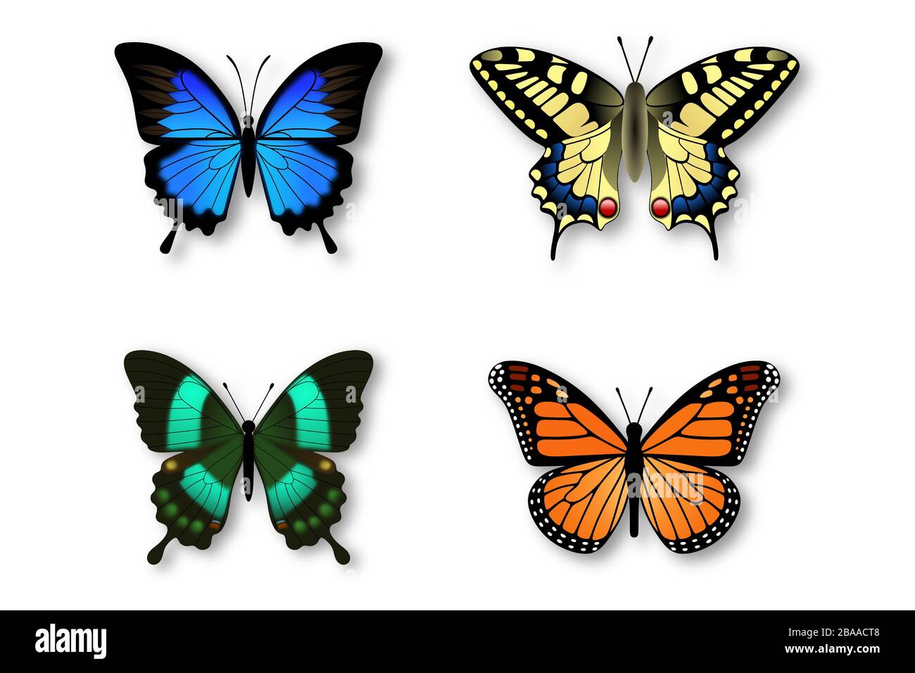 Set di coloratissime farfalle Illustrazione Vettoriale