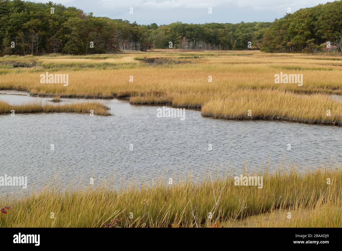 Molte insenature di saltmarsh e maree nel NH seacoast. Rye, NH. Molti si trovano lungo la Route 1A, la strada costiera dell'Oceano Atlantico. Acqua salata, maree. Foto Stock