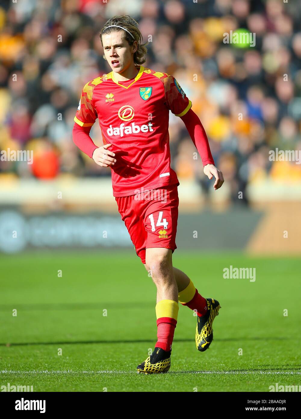 Norwich City's Todd Cantwell Foto Stock