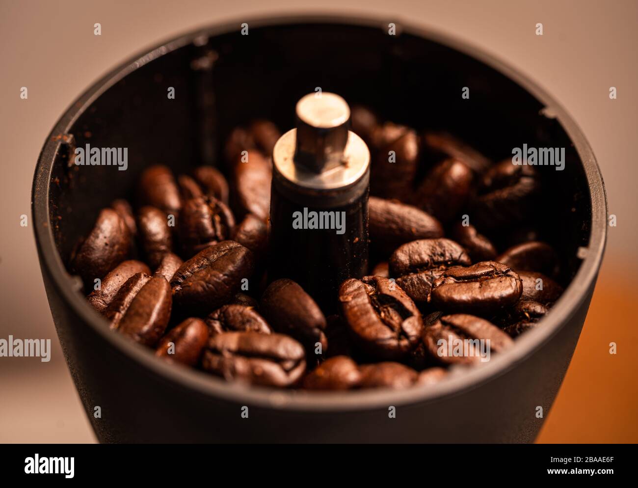 Le aziende del caffè ed esportano i chicchi di caffè. Foto Stock