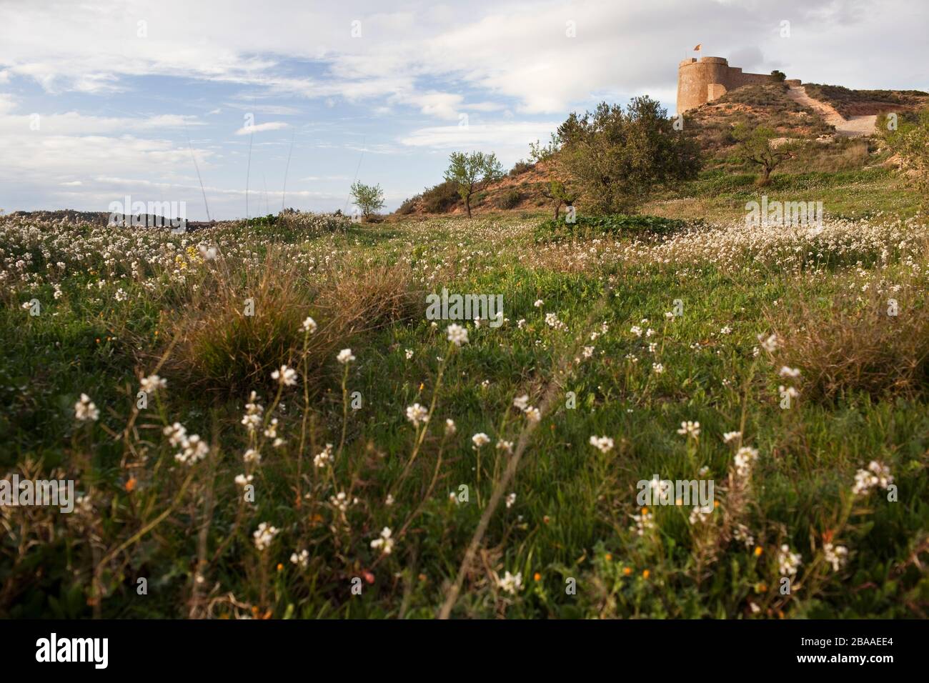Castell de Flix (la Ribera d'Ebre) Foto Stock