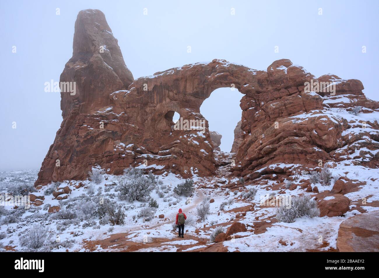 USA, Sud-Ovest, Utah, Moab, Parco Nazionale degli Arches, Arco della torretta in inverno Foto Stock