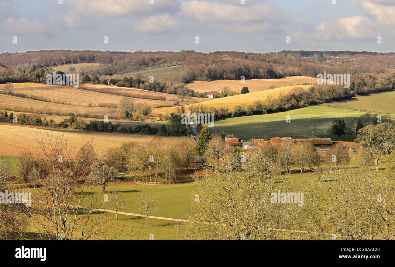 Un paesaggio rurale inglese nelle Chiltern Hills nel South Oxfordshire Foto Stock