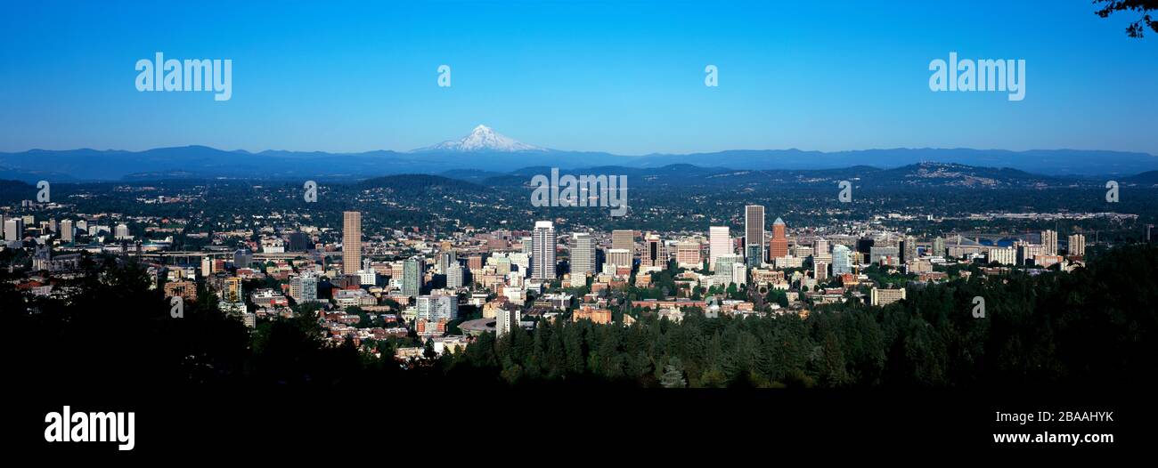 Panorama della città con il vulcano Mount Hood in lontananza, Portland, Oregon, Stati Uniti Foto Stock