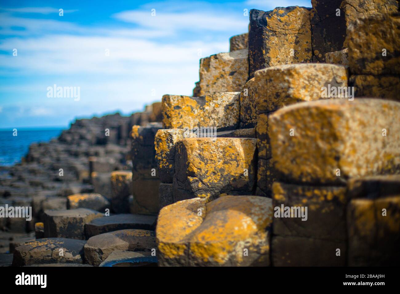 Il sito UNESCO che è Giants Causeway, Irlanda del Nord, Regno Unito Foto Stock