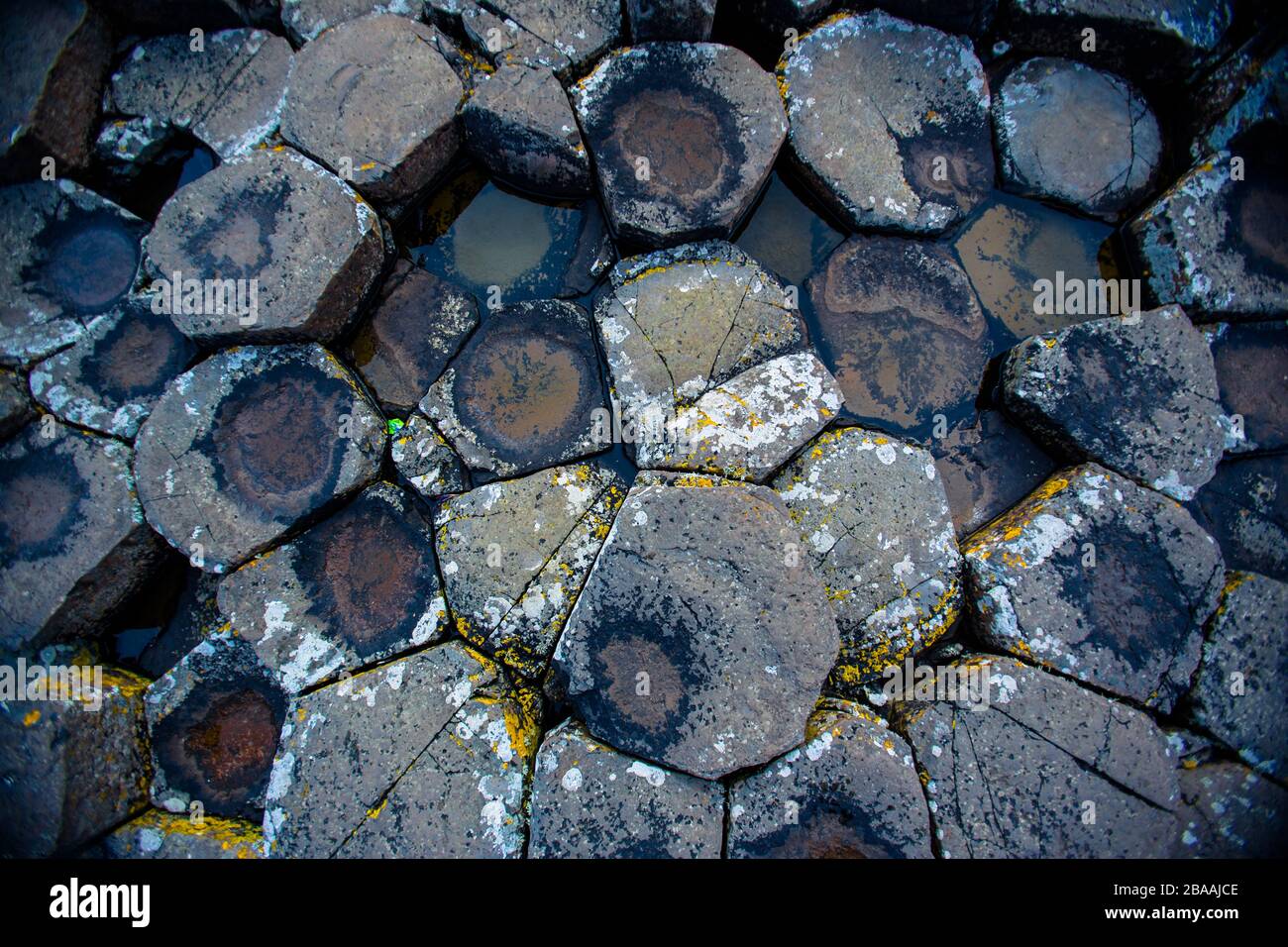 Il sito UNESCO che è Giants Causeway, Irlanda del Nord, Regno Unito Foto Stock