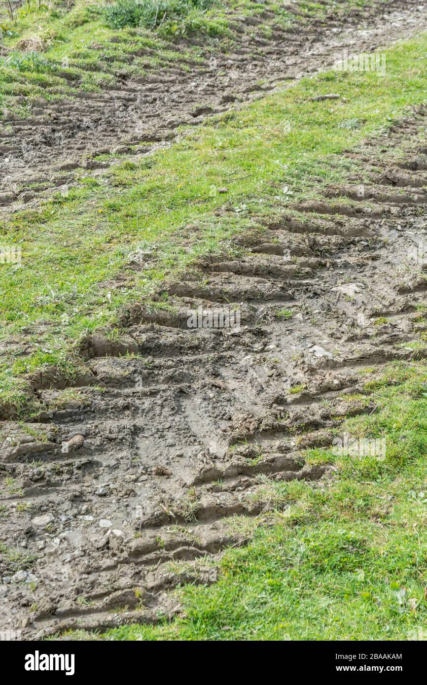 Nervature profonde nel fango fatto da pneumatici del trattore / pneumatici sull'erba. Tracce di pneumatici, rendendo le vie, stick nel fango, fangoso texture, superficie fangosa, fango fango invernale Foto Stock