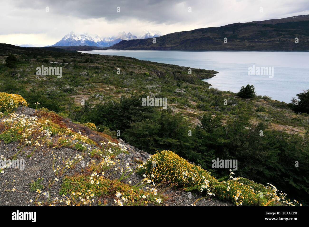 Vista di Cerro Paine Grande e della Cordillera De Paine sul Lago del Torro, Torres de Paine, Magallanes e Antartide cilena, Cile Foto Stock