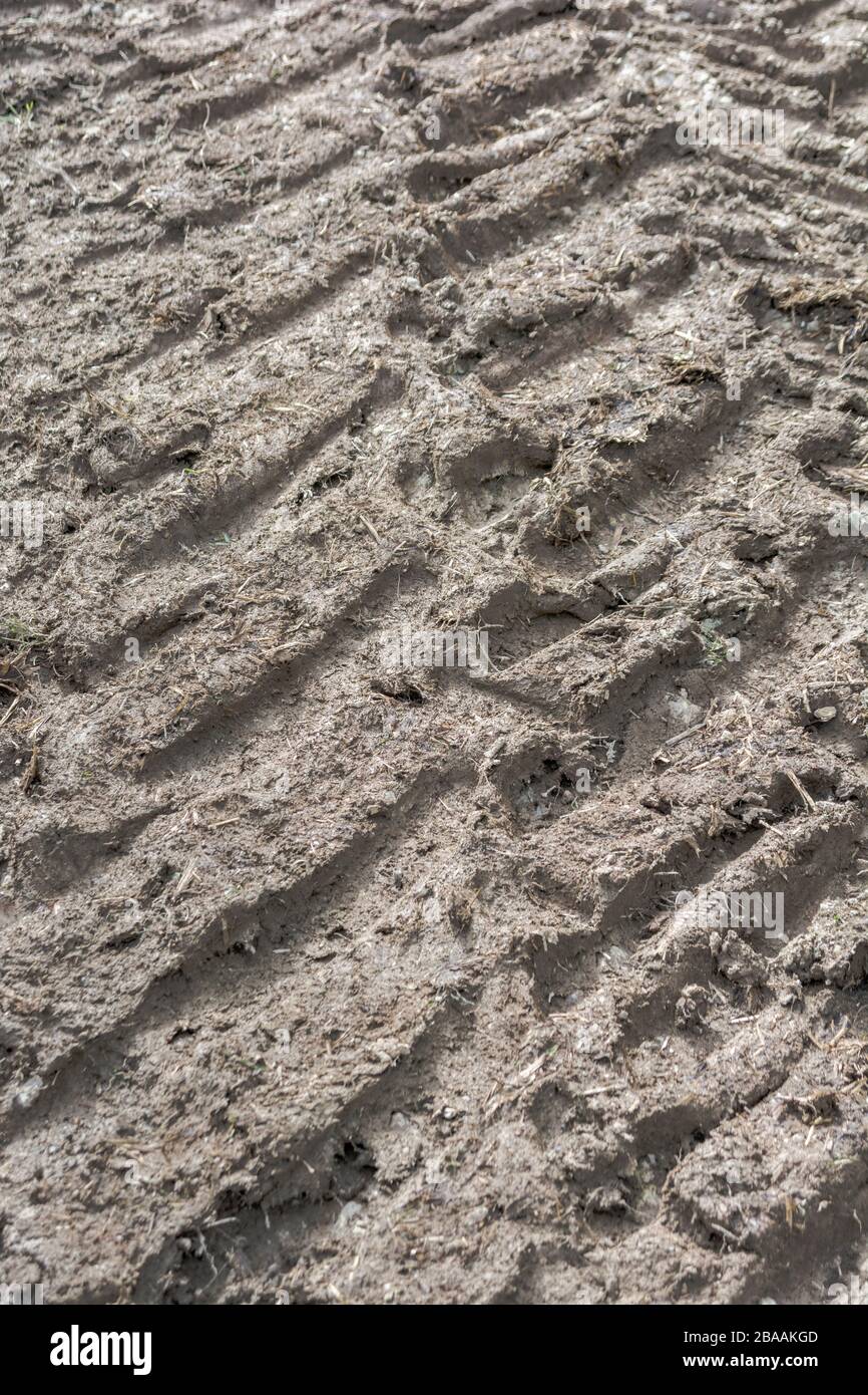 Profonde creste di fango realizzate da pneumatici trattore / pneumatici in campo. Cingoli di pneumatici, facendo i cingoli, bastone nel fango, consistenza fangosa, superficie fangosa, fango, fango invernale Foto Stock