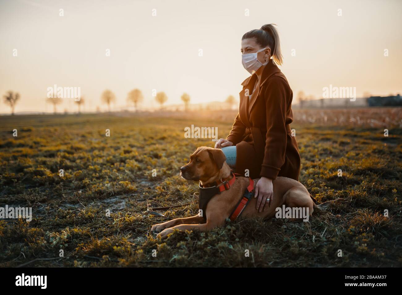 Donna che indossa una maschera protettiva sta camminando da solo con un cane all'aperto a causa della pandemia corona virus covid-19 Foto Stock