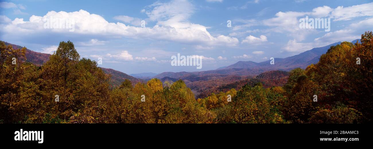 Vista panoramica della foresta e della zona collinare in giornate nuvolose, Great Smoky Mountains National Park, Tennessee, Stati Uniti Foto Stock