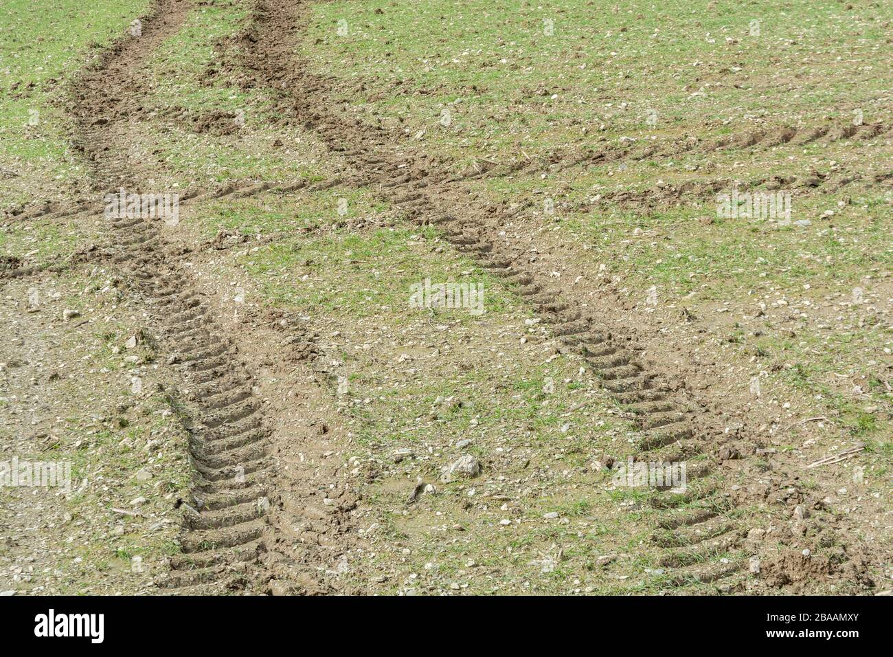 Incrocio dei cingoli dei pneumatici del trattore in un campo a molla. Per il cambiamento di direzione, l'agricoltura e il Regno Unito, il paesaggio agricolo, la crescita precoce Foto Stock