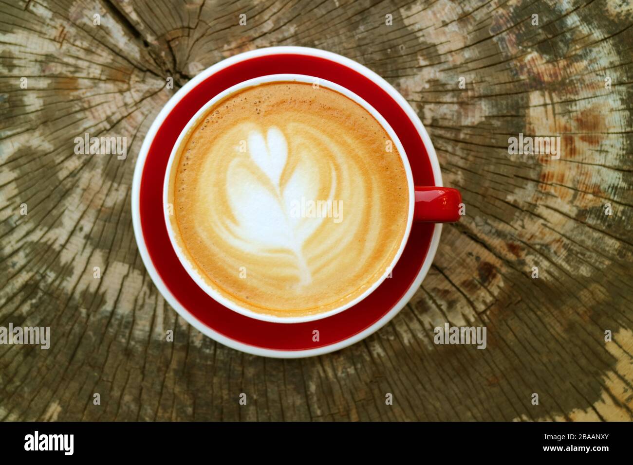 Vista dall'alto del caffè Hot Cappuccino in una tazza Rossa servita sul tavolo Tree Stump Foto Stock