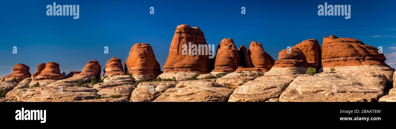 Vista delle rocce di Needles al Canyonland National Park, Utah, Stati Uniti Foto Stock