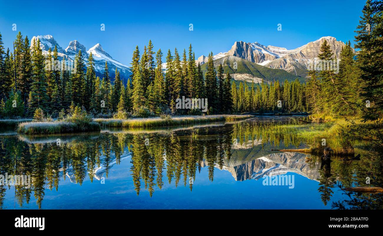 Vista di Three Sisters Mountain e del Monte Lawrence grassi e degli alberi riflessi sullo stagno alberato, Canmore, Alberta, Canada Foto Stock