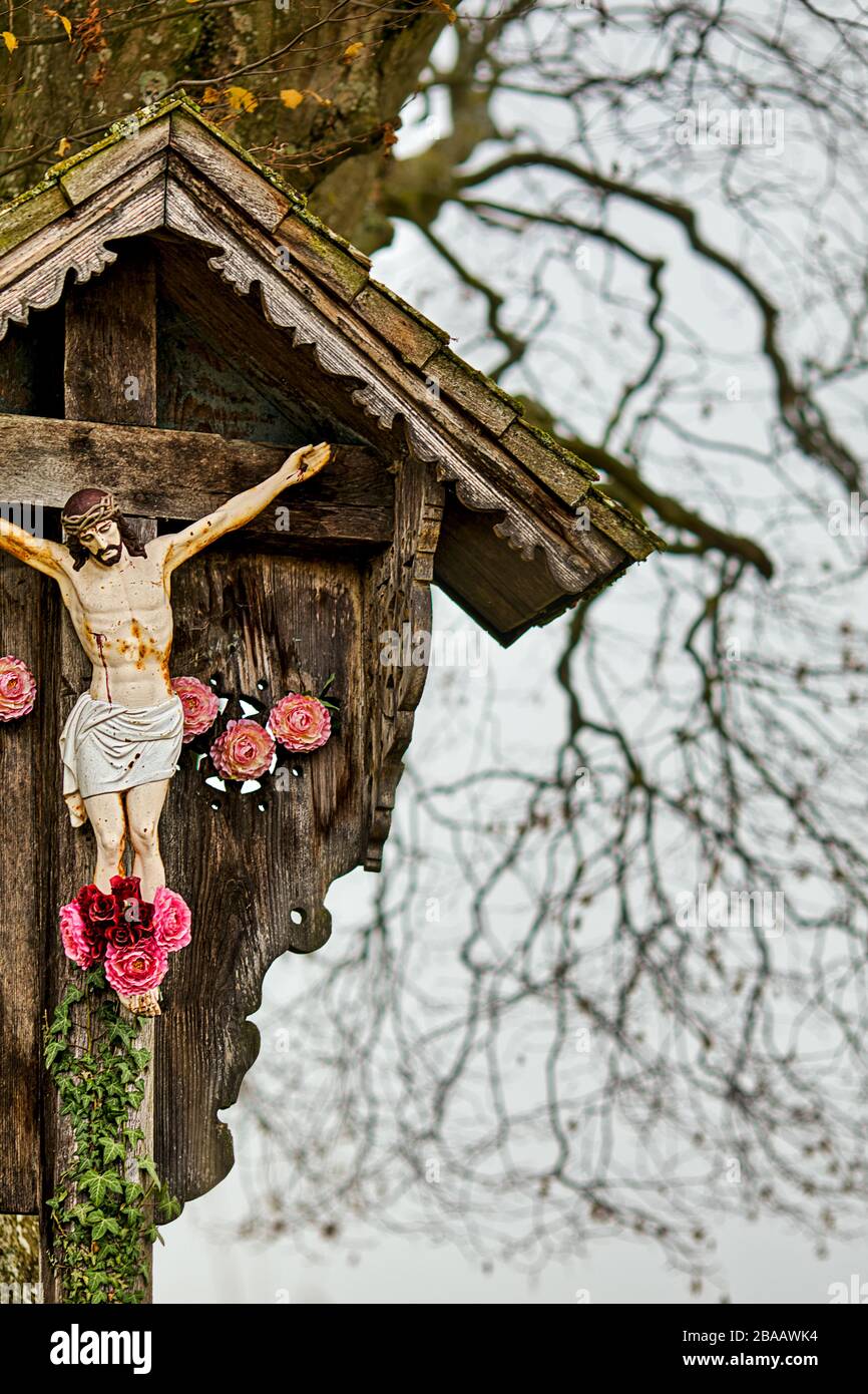Vista parziale di Gesù sulla croce, sullo sfondo i rami di un albero Foto Stock